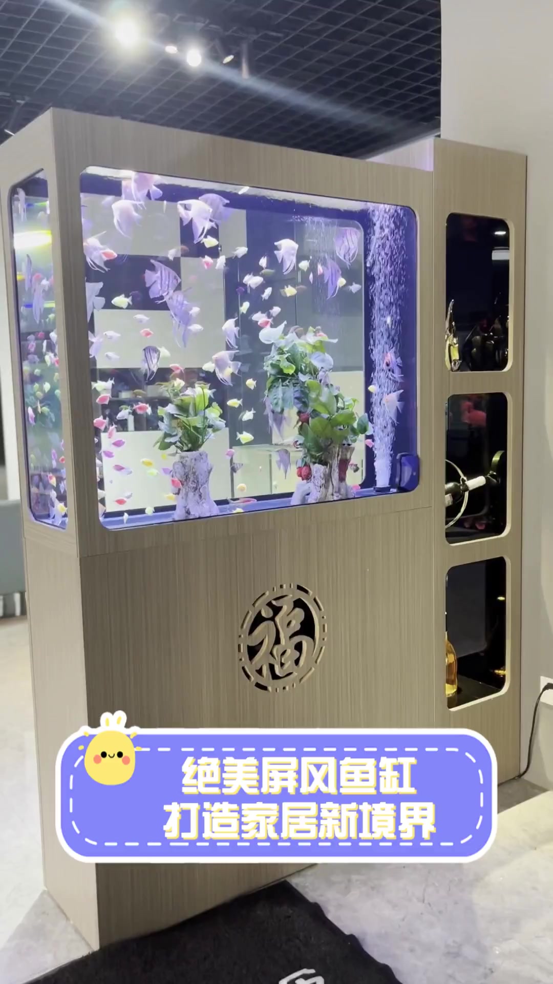 绝美屏风鱼缸,打造家居新境界