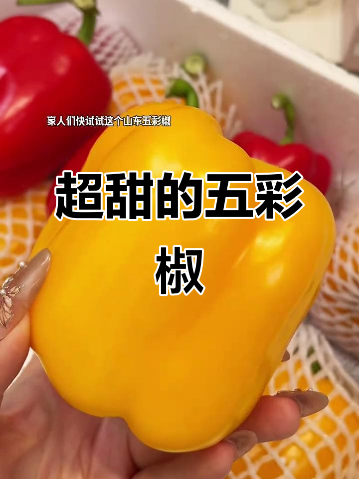 山东五彩椒:不辣又甜,当水果吃超赞!