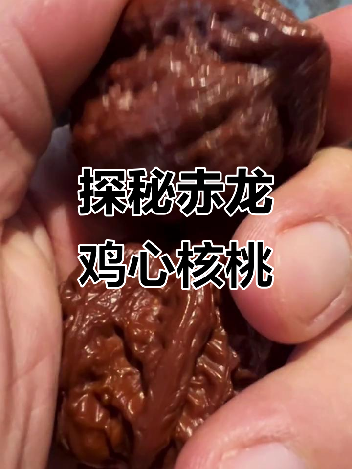 赤龙鸡心核桃:了解独特品种的魅力与特点