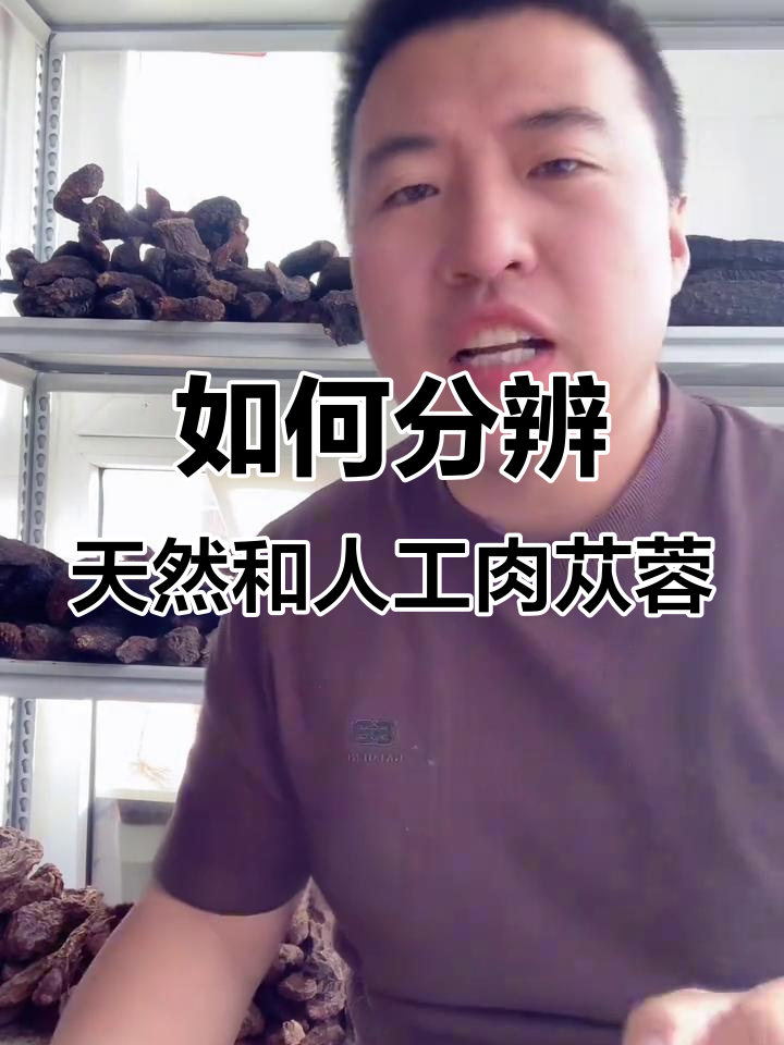 自然生长与人工种植的肉苁蓉,如何区分?