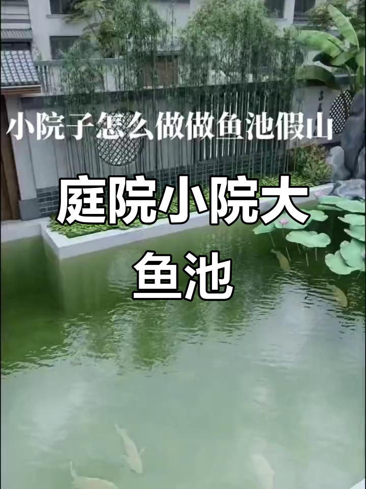 小院子也能有大鱼池,假山流水设计让空间灵动起来