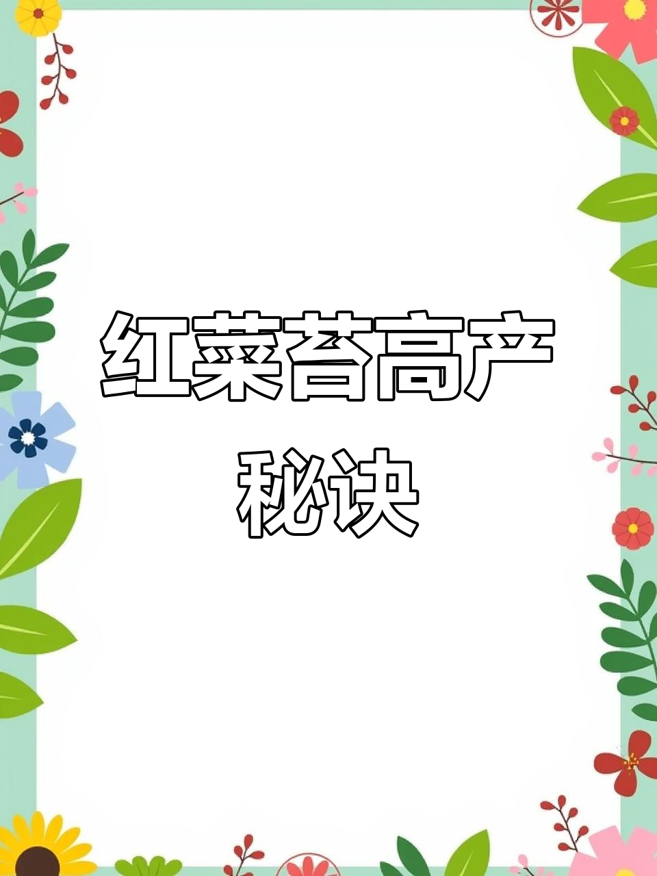 红菜苔增产小技巧:打侧枝、剪老叶,轻松提高产量
