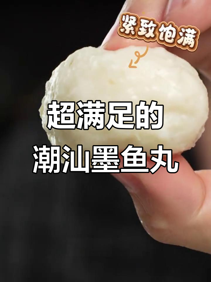 潮汕墨鱼丸,外酥内嫩,一口爆汁让人停不下来