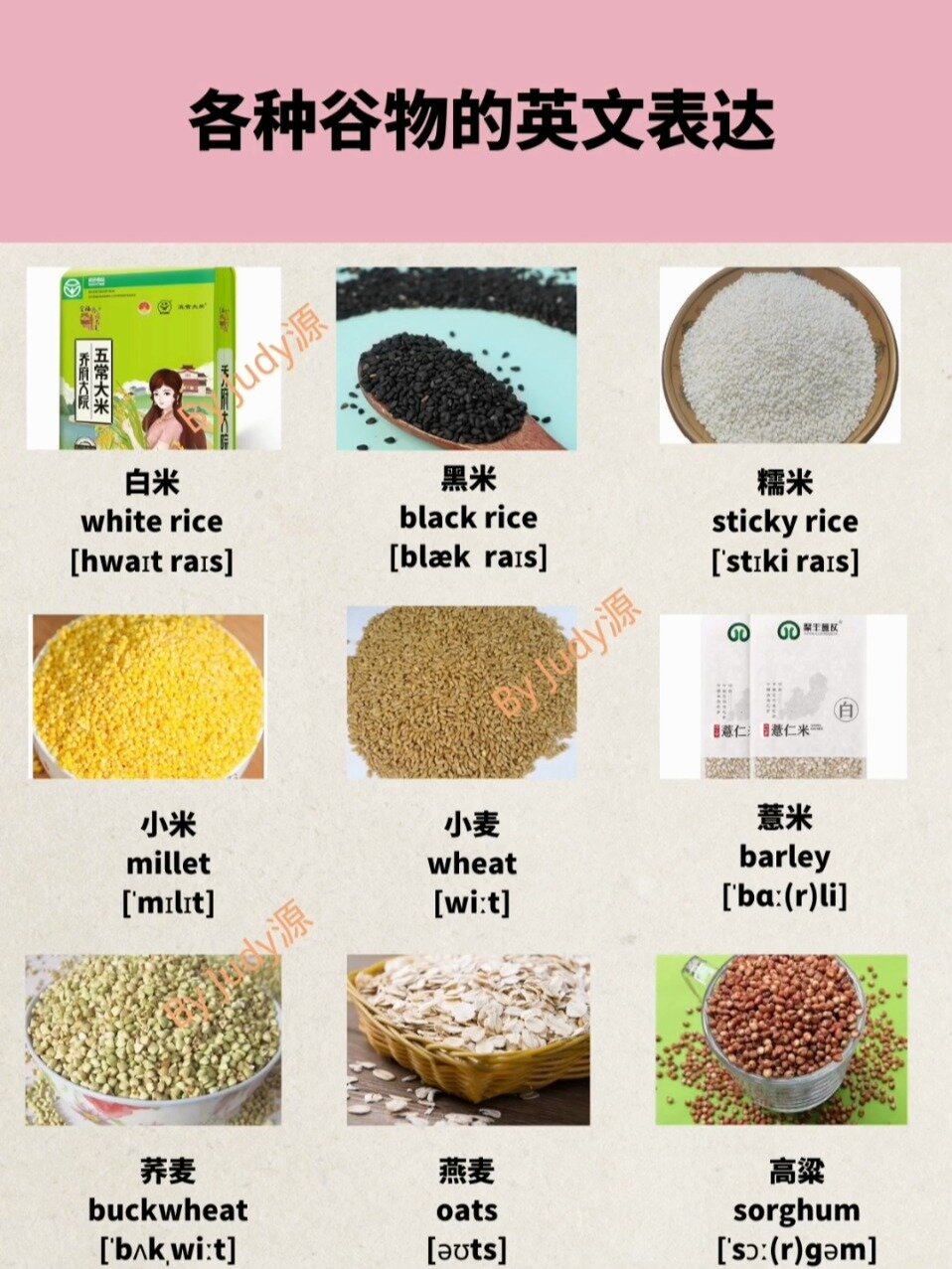 常见谷物英文表达