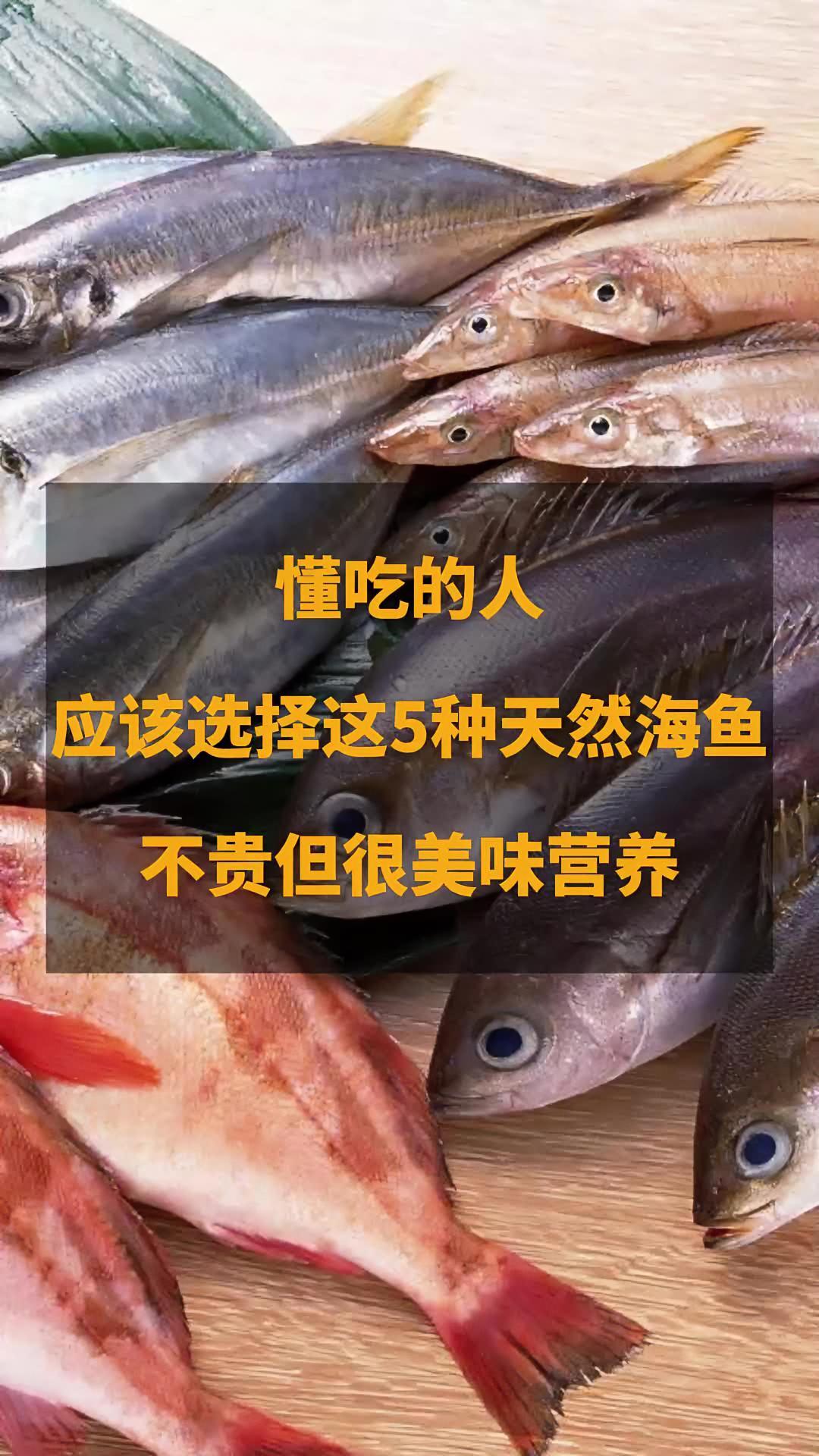 以后买鱼要尽量选择这5种海鱼,都是纯野生鱼,不能人工养殖,营养丰富,最重要的是还很便宜!水