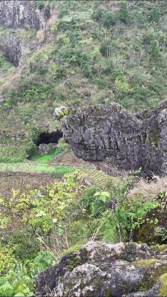 在贵州安顺关岭的大山里发现了一座山体乌龟,长得栩栩如生