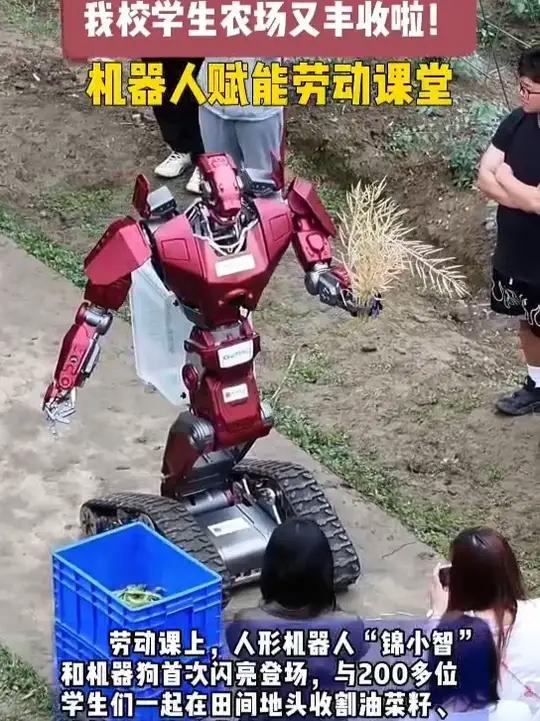 喜迎“五一”劳动节!机器人与锦城师生一起收菜籽、摘胡豆