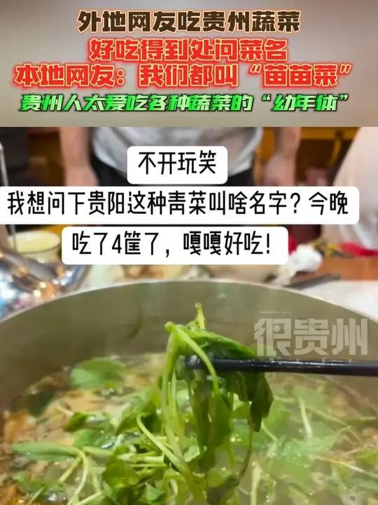 外地网友吃贵州蔬菜好吃得到处问菜名，本地网友：我们都叫“苗苗菜”，贵州人太爱吃各种蔬菜的“