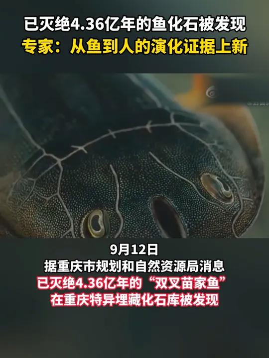 已灭绝4.36亿年的鱼化石被发现