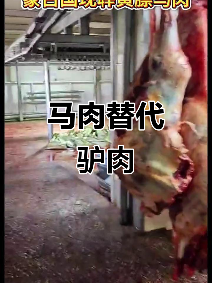 今年马肉馆大行其道,北方驴肉转型做马肉火烧