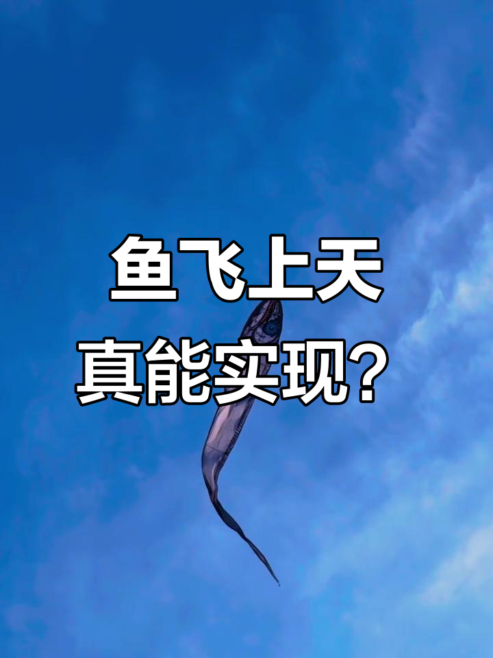 鱼竟然能在天上飞?这也太神奇了!
