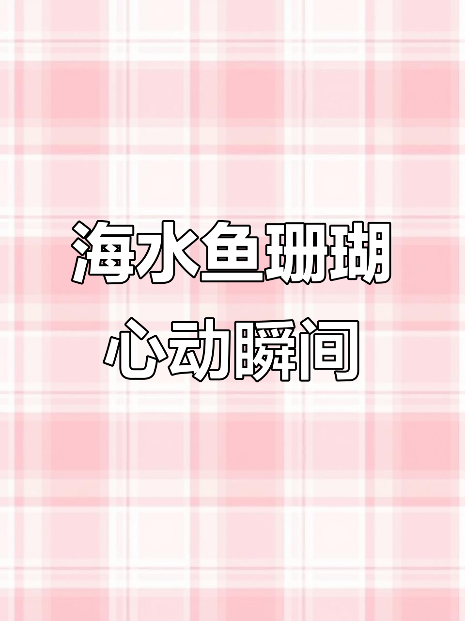 海水鱼珊瑚与心跳共鸣,蓝色治愈系萌动时刻