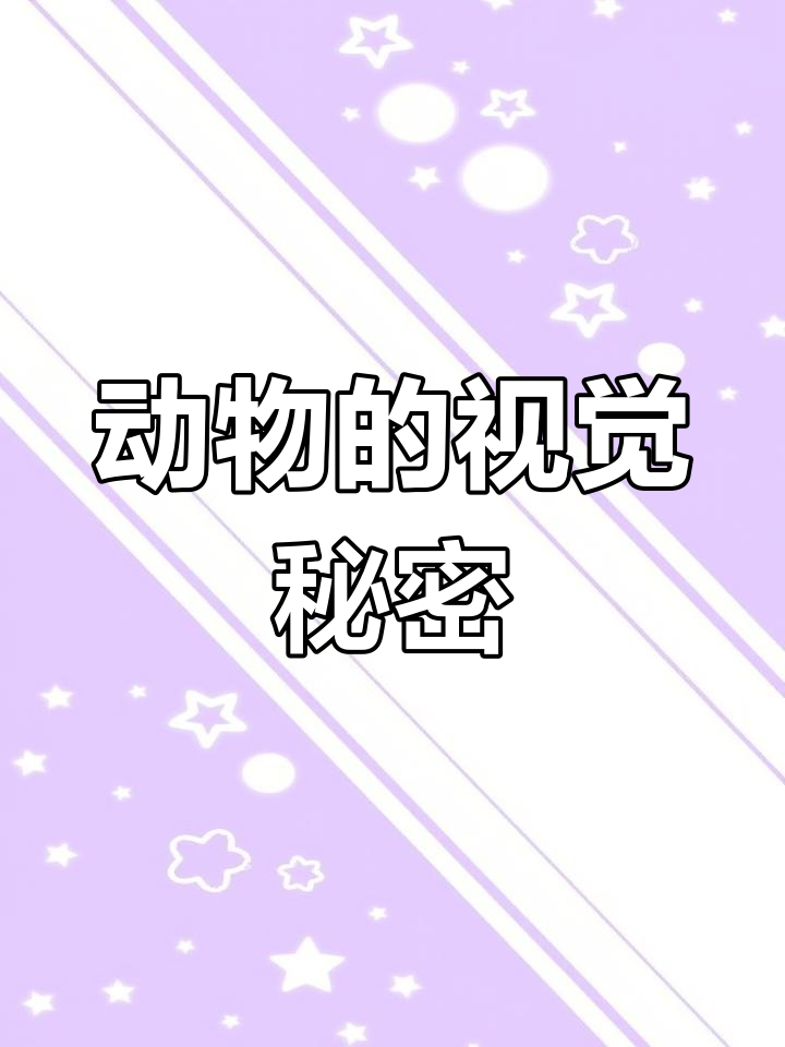 动物眼中的世界与人类大不同,皮皮虾竟比我们更懂色彩!