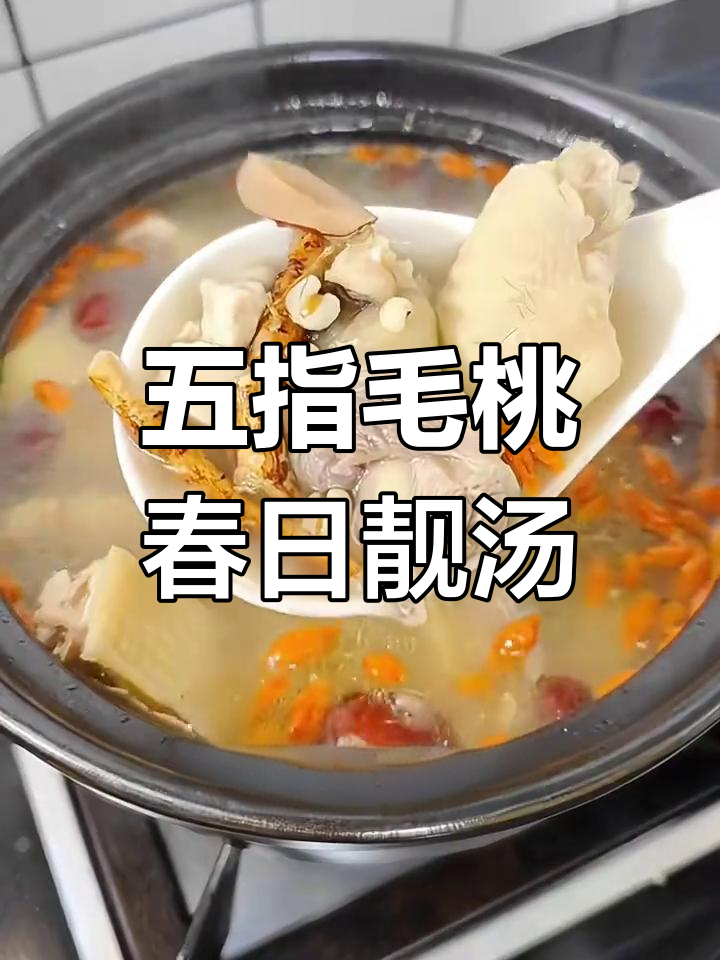 春季养生汤,五指毛桃搭配茯苓,鸡肉鲜嫩,滋补又美味!