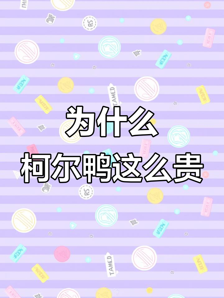 柯尔鸭为何身价不菲？揭秘网红宠物的秘密