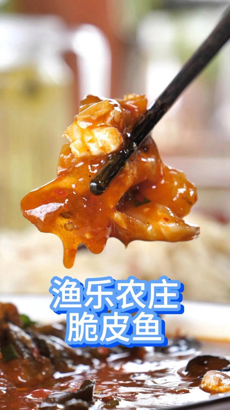 渔乐农庄 渔乐农庄脆皮鱼 艾特你的饭搭子请你吃