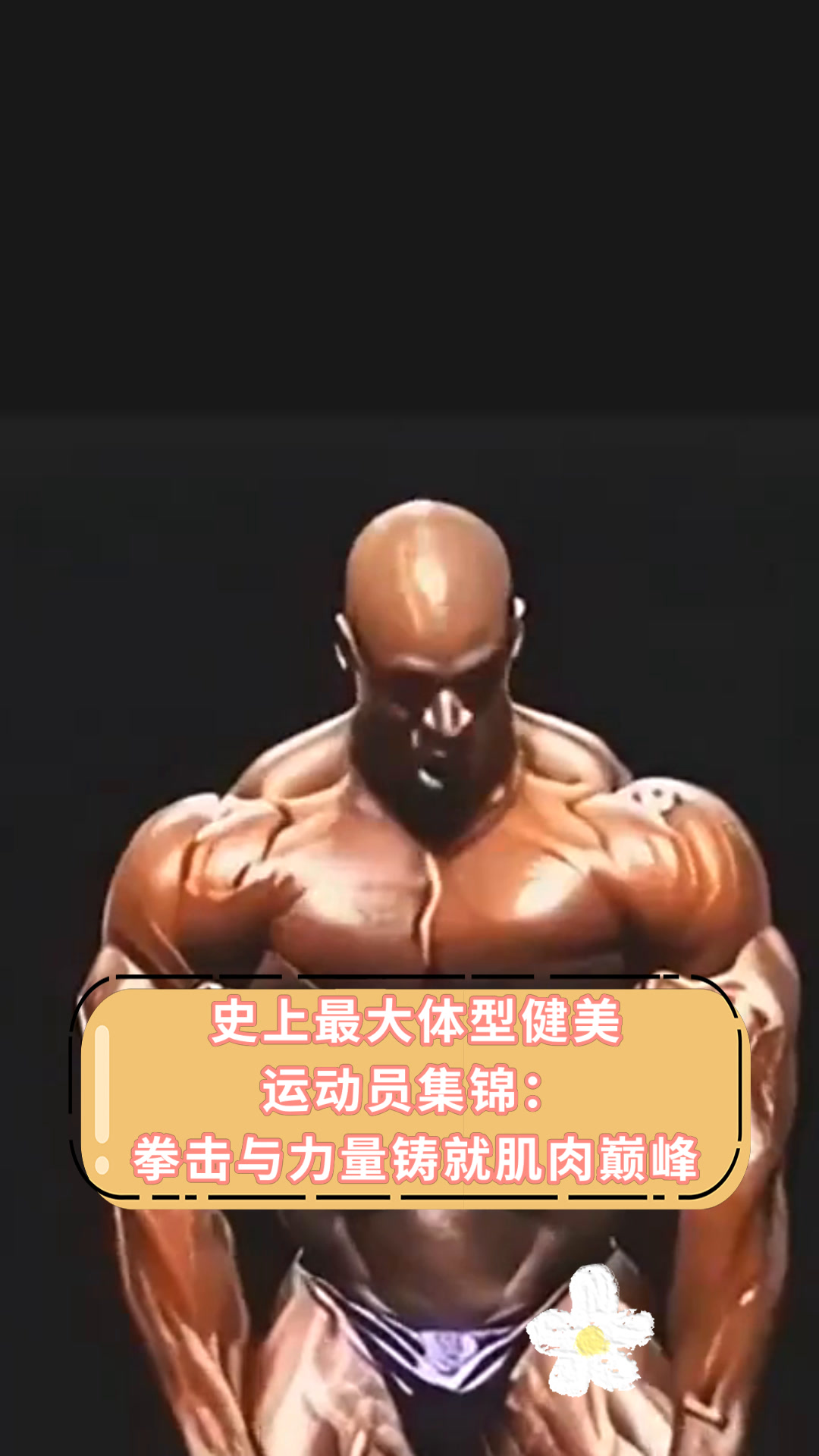 史上最大体型健美运动员集锦:拳击与力量铸就肌肉巅峰