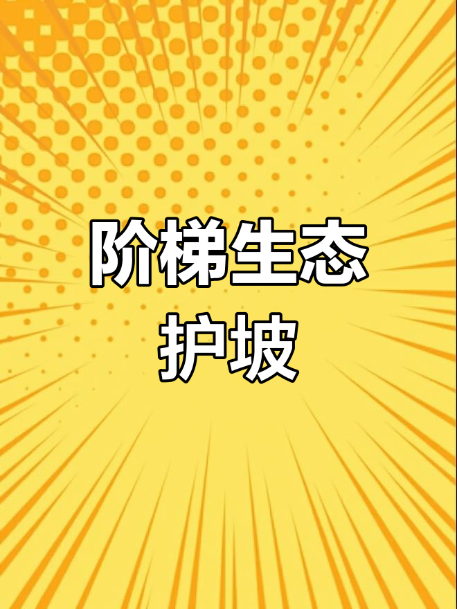 阶梯式生态护坡模具,预制鱼巢设计