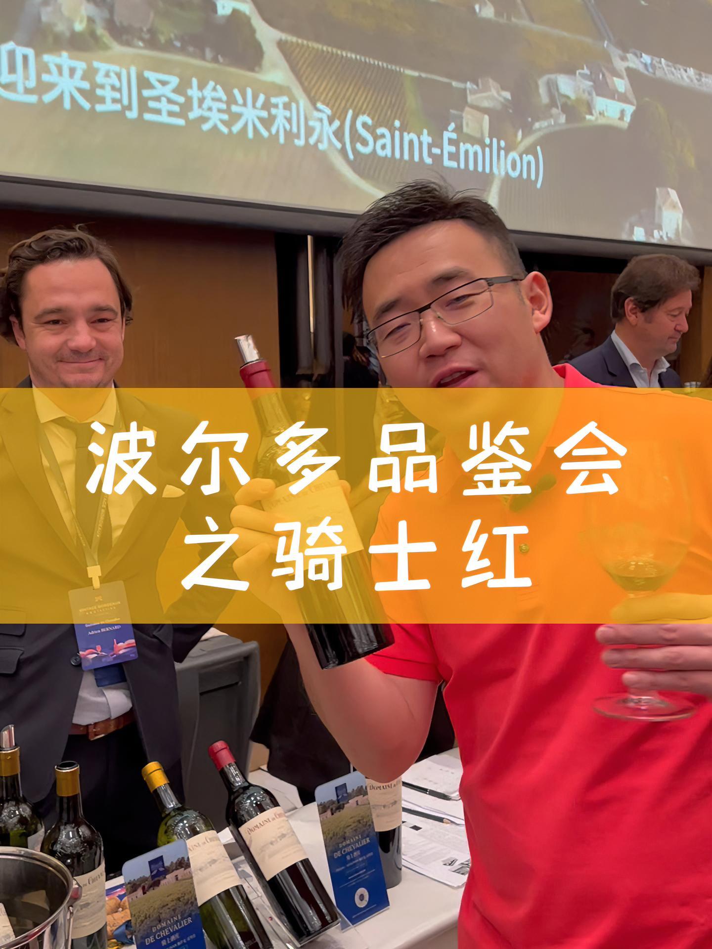 波尔多品鉴会之骑士红 葡萄酒 红酒 波尔多