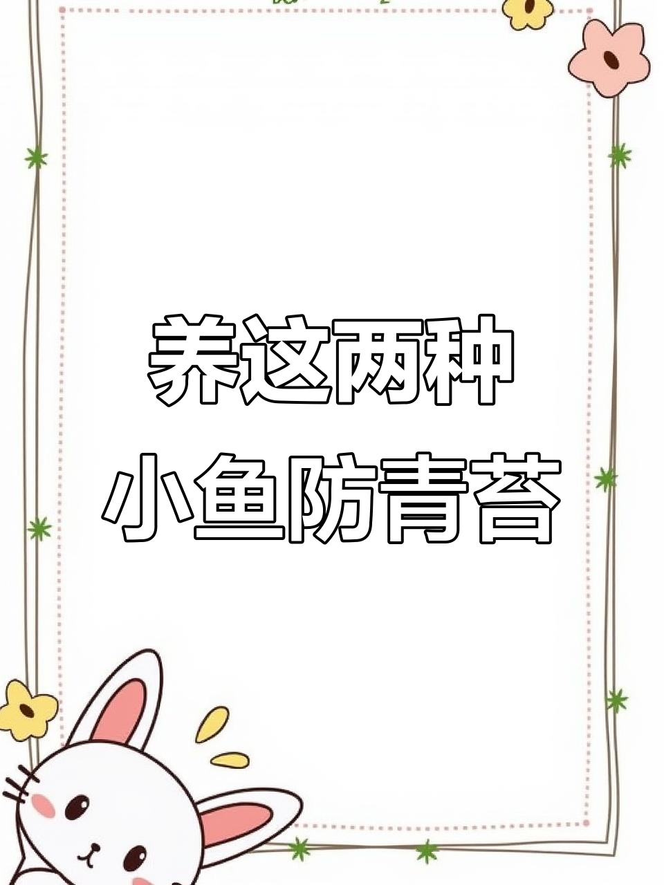 淡水石斑鱼和细鳞鱼,池塘里的青苔克星
