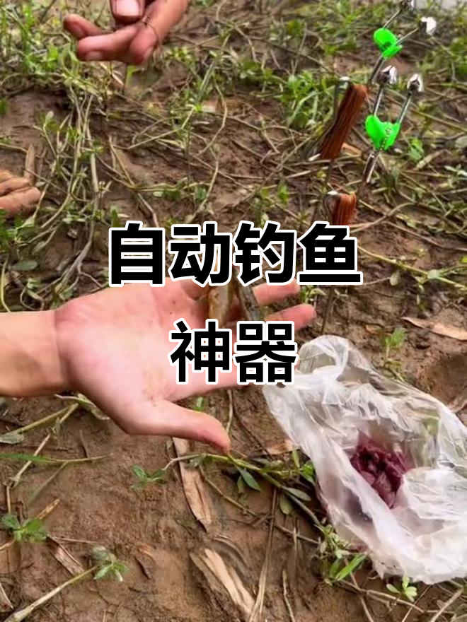 自动钓鱼地插,轻松钓大鱼!