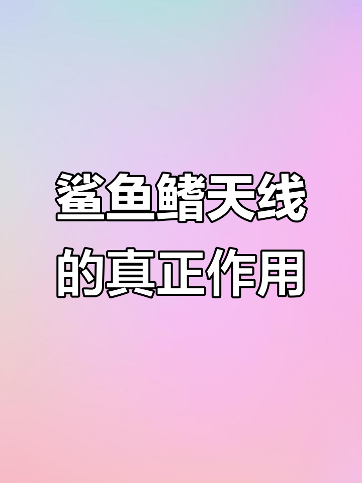 鲨鱼鳍天线到底有啥用?原来不是为了省油