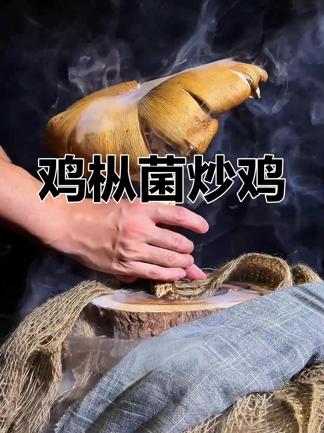 鸡枞菌炒鸡肉,香脆美味大揭秘