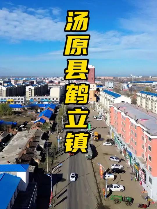 佳木斯汤原县鹤立镇,一个安静祥和小镇,主街道宽阔整洁