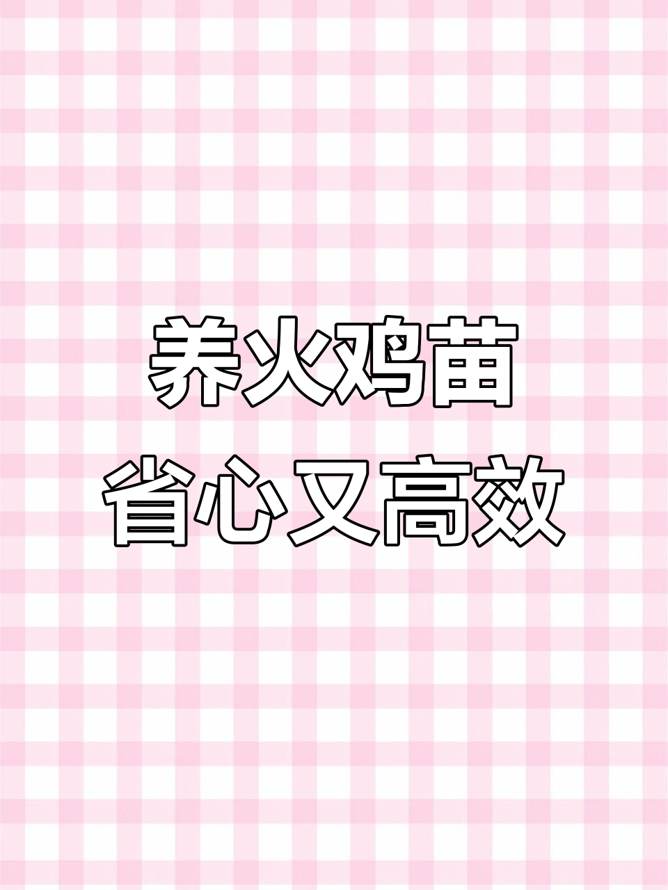 火鸡苗养殖全攻略:耐造肉机器,轻松饲养