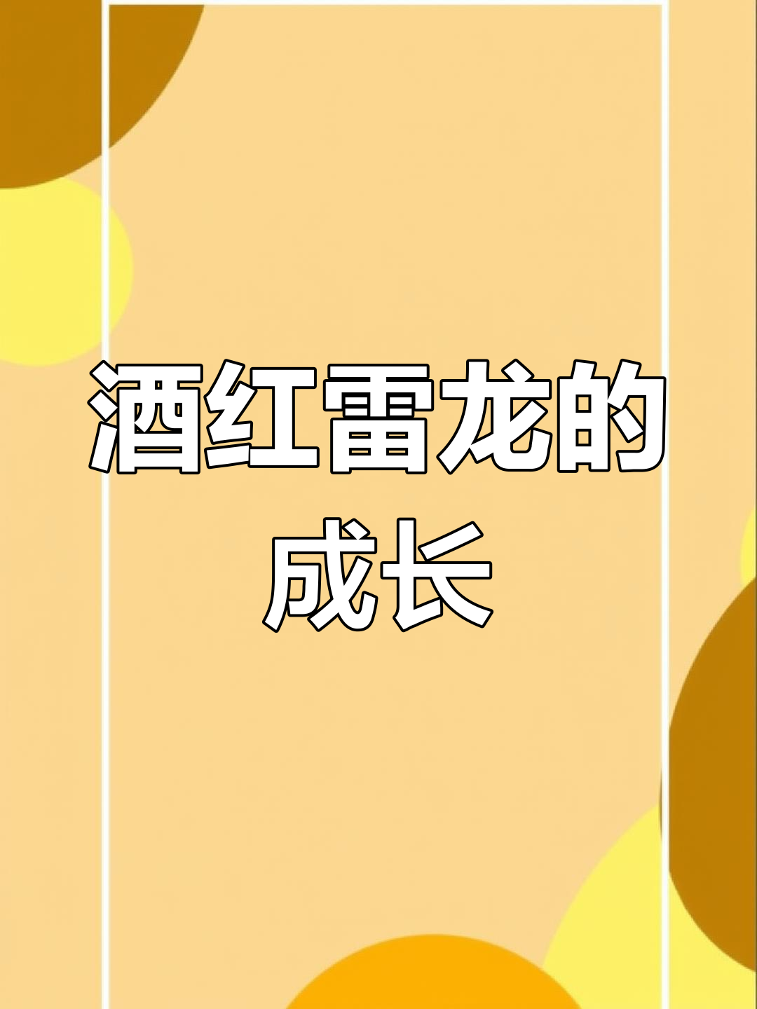 从小酒红到大酒红的蜕变,雷龙鱼成长记