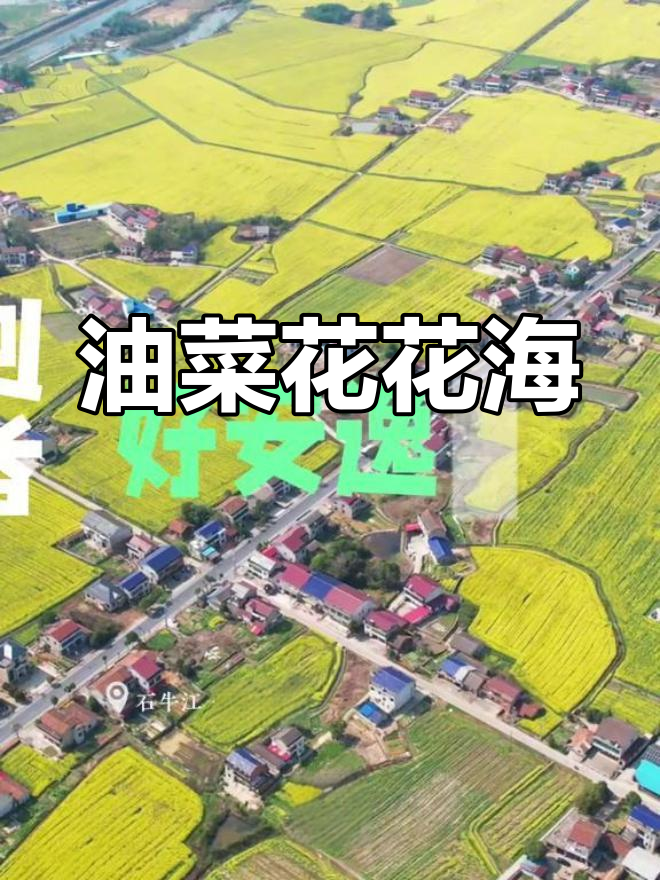 春天的油菜花海,乡村美景让人心动