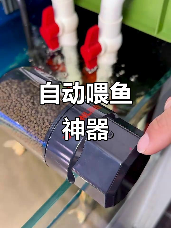 假期无忧,自动喂食器让鱼儿始终有饭吃