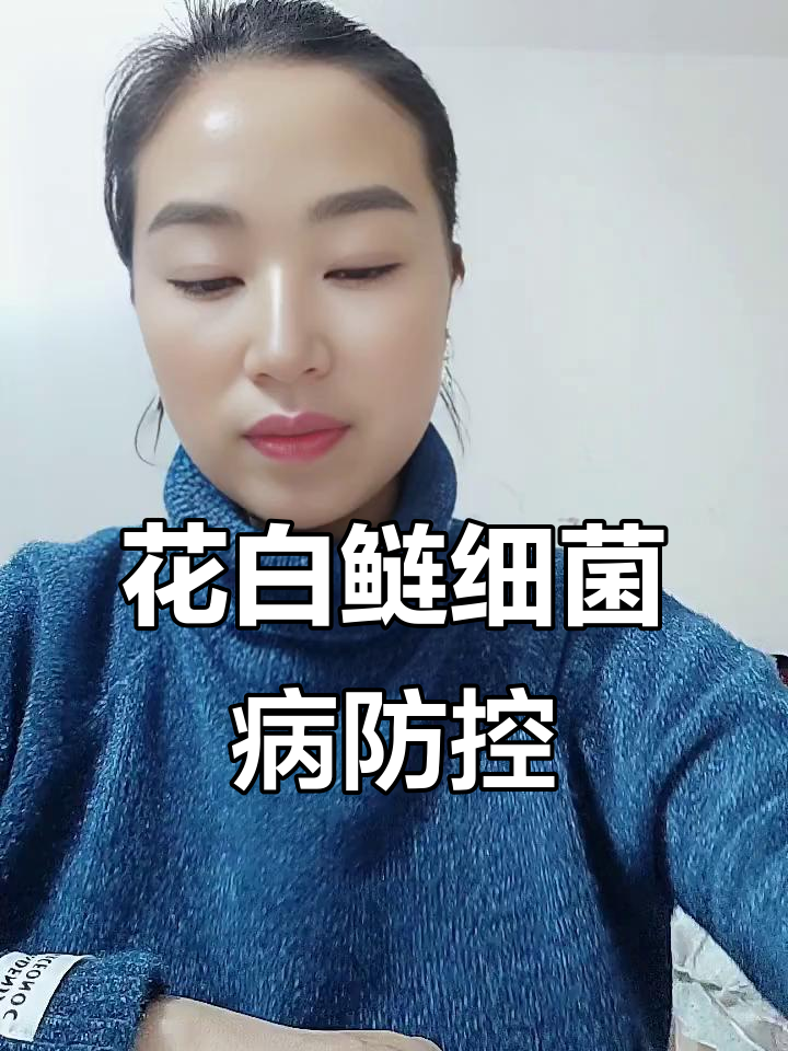 花白鲢细菌性疾病症状与防治方法全解析