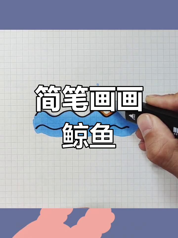用曲线绘制可爱小鲸鱼