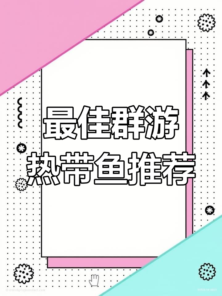 红尾企鹅灯鱼:群游效果超强,适合养殖的热带鱼类