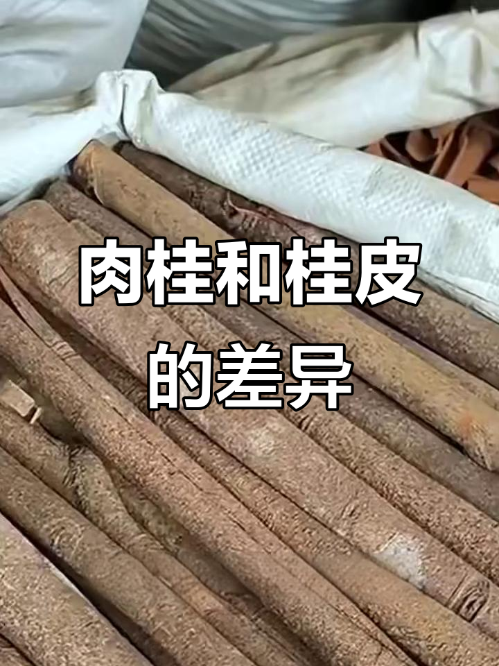 肉桂与桂皮的区别：来源、形态和用途全解析