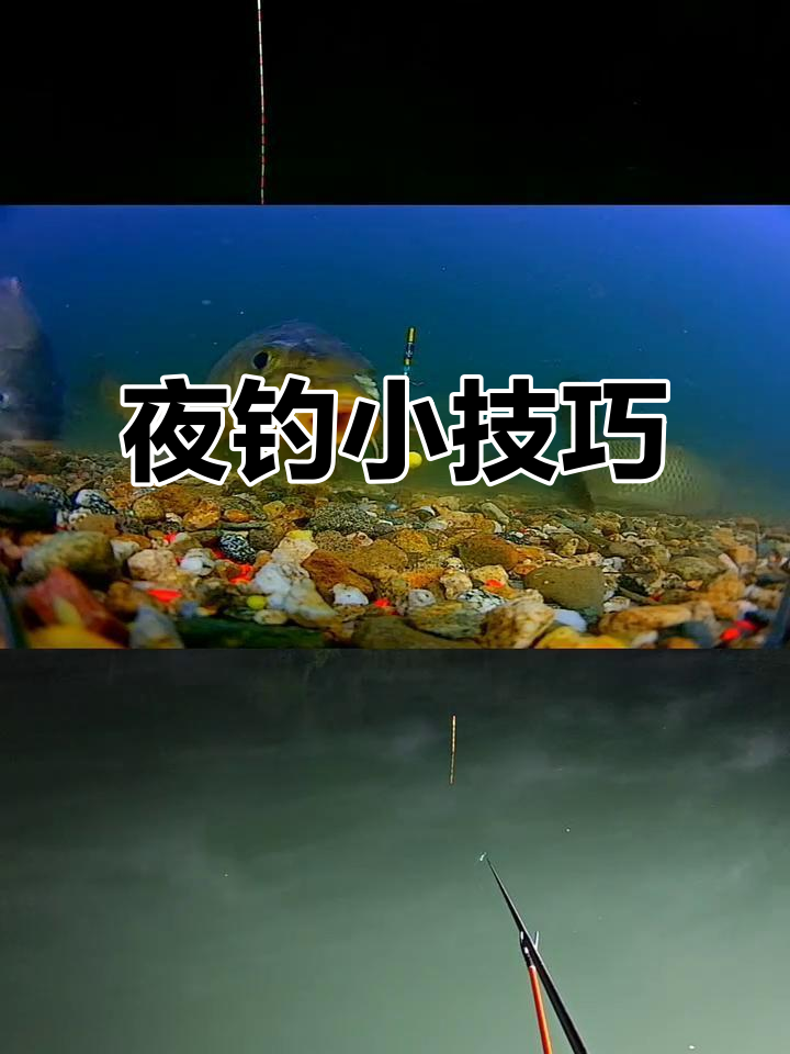 夜晚钓鱼技巧大揭秘:如何用探鱼器捕捉大板鲫