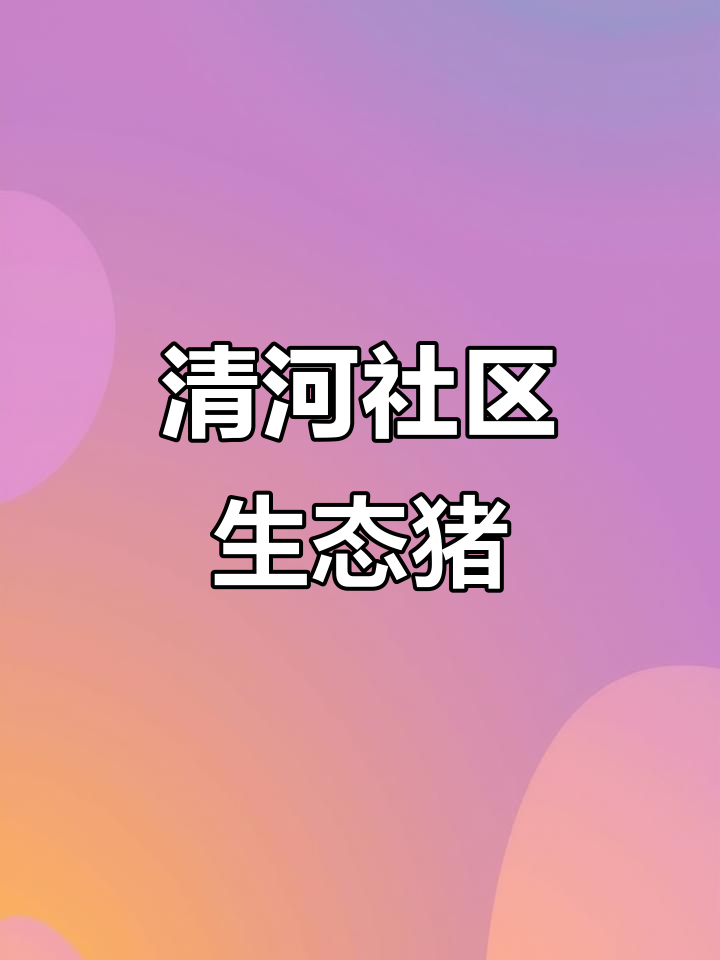 11月每周三、六、日,清河社区生态猪肉等你来尝