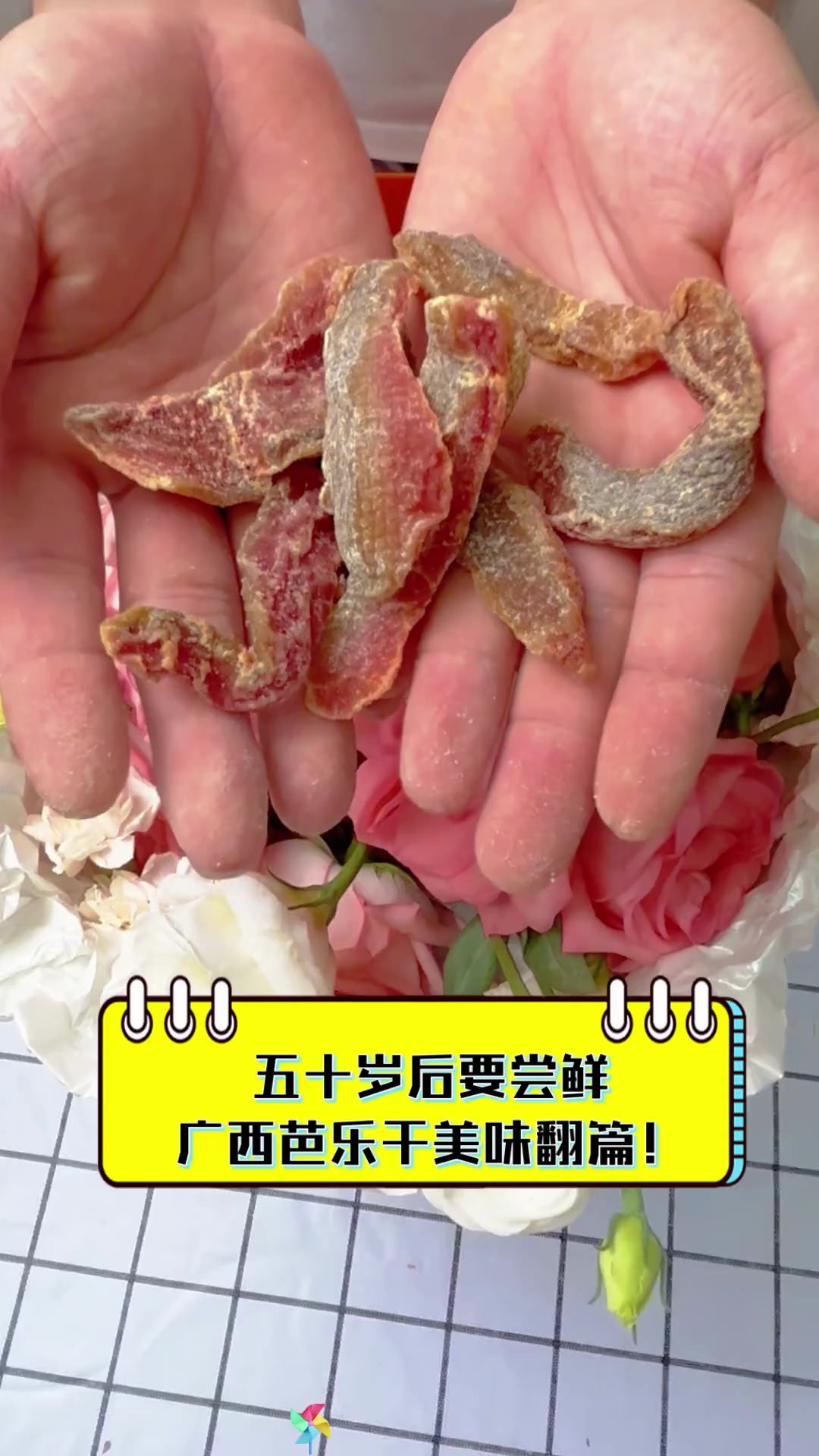 五十岁后要尝鲜,广西芭乐干美味翻篇!