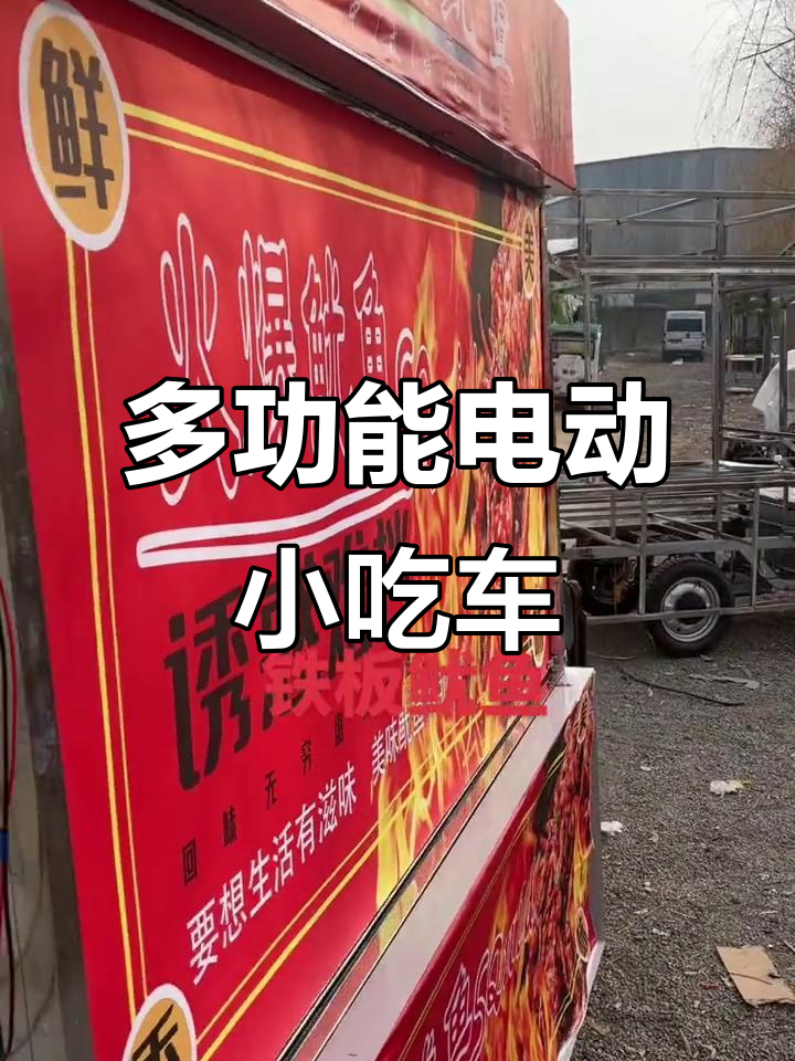 电动小吃车：铁板鱿鱼与多功能设计完美结合