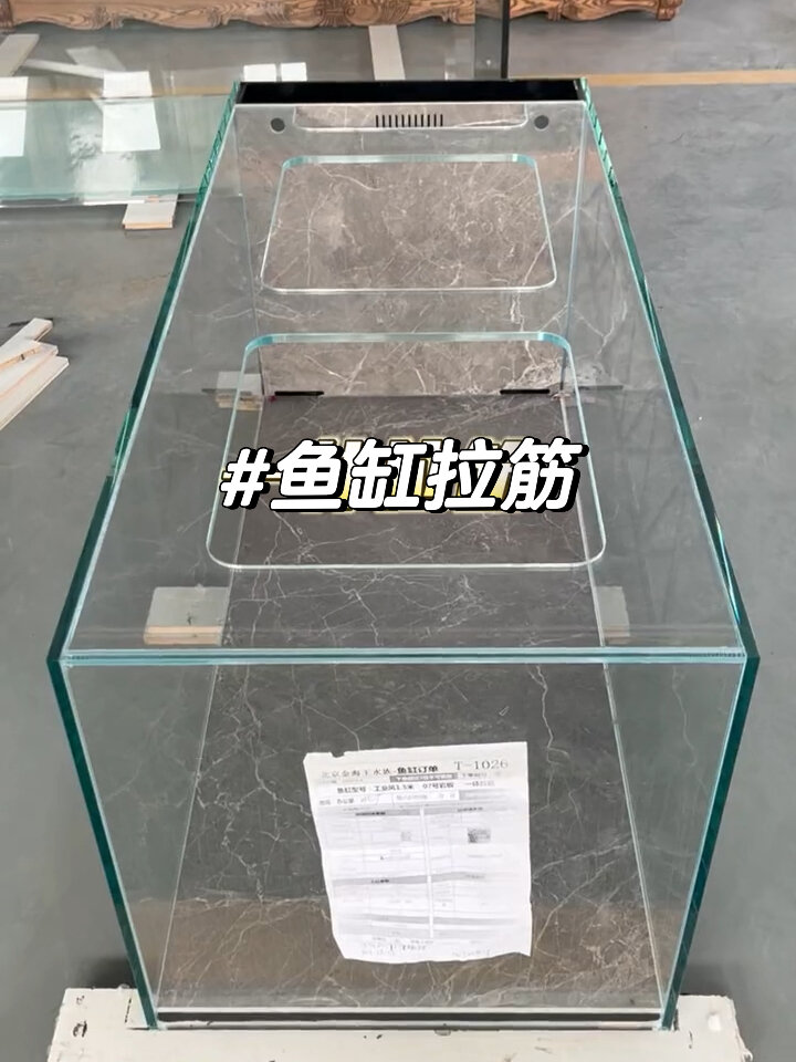 你的鱼缸拉筋是这种吗?
