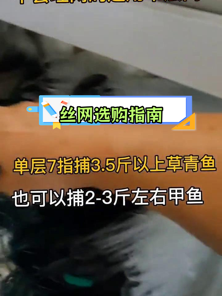新手选丝网技巧:如何根据目标鱼种选择合适网眼