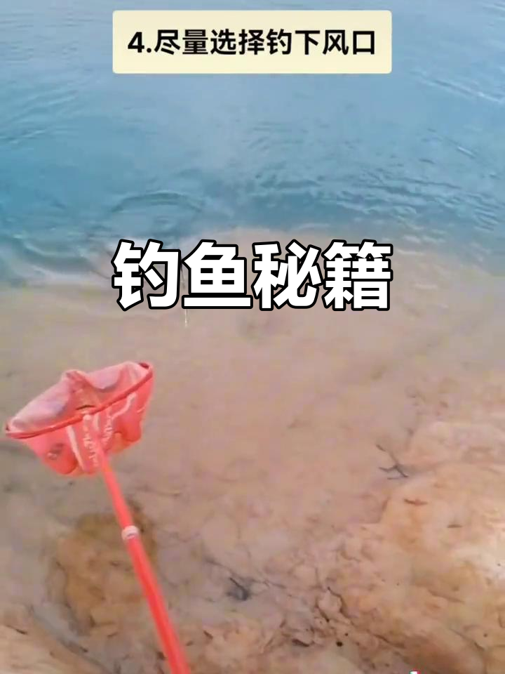 夏季钓鱼秘诀,掌握五点轻松翻倍收获!