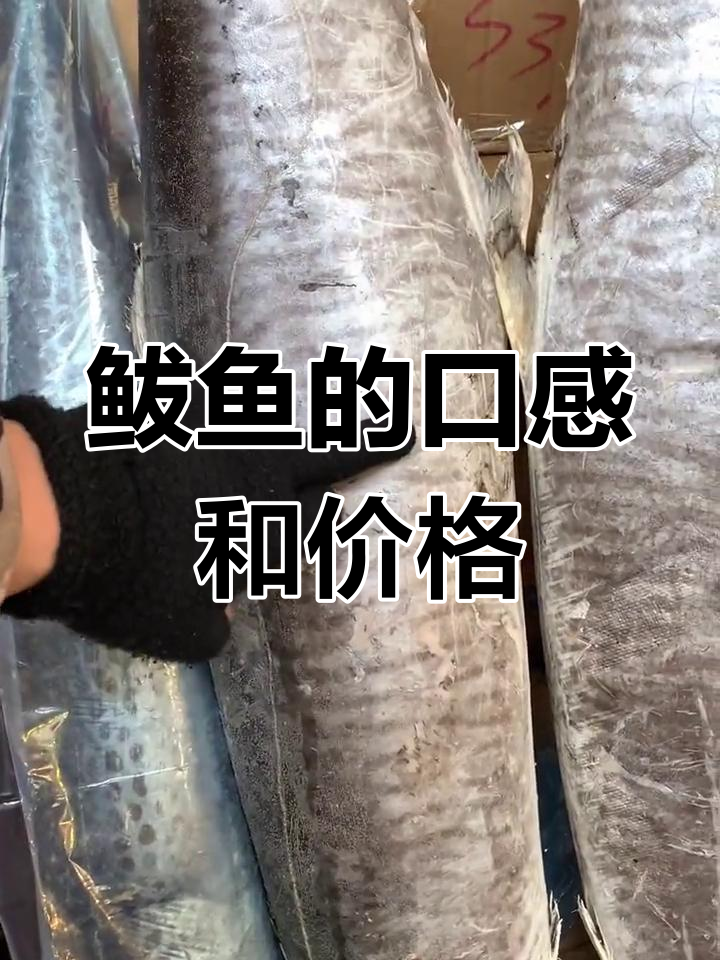 鲅鱼品种不同,口感与价格差异大