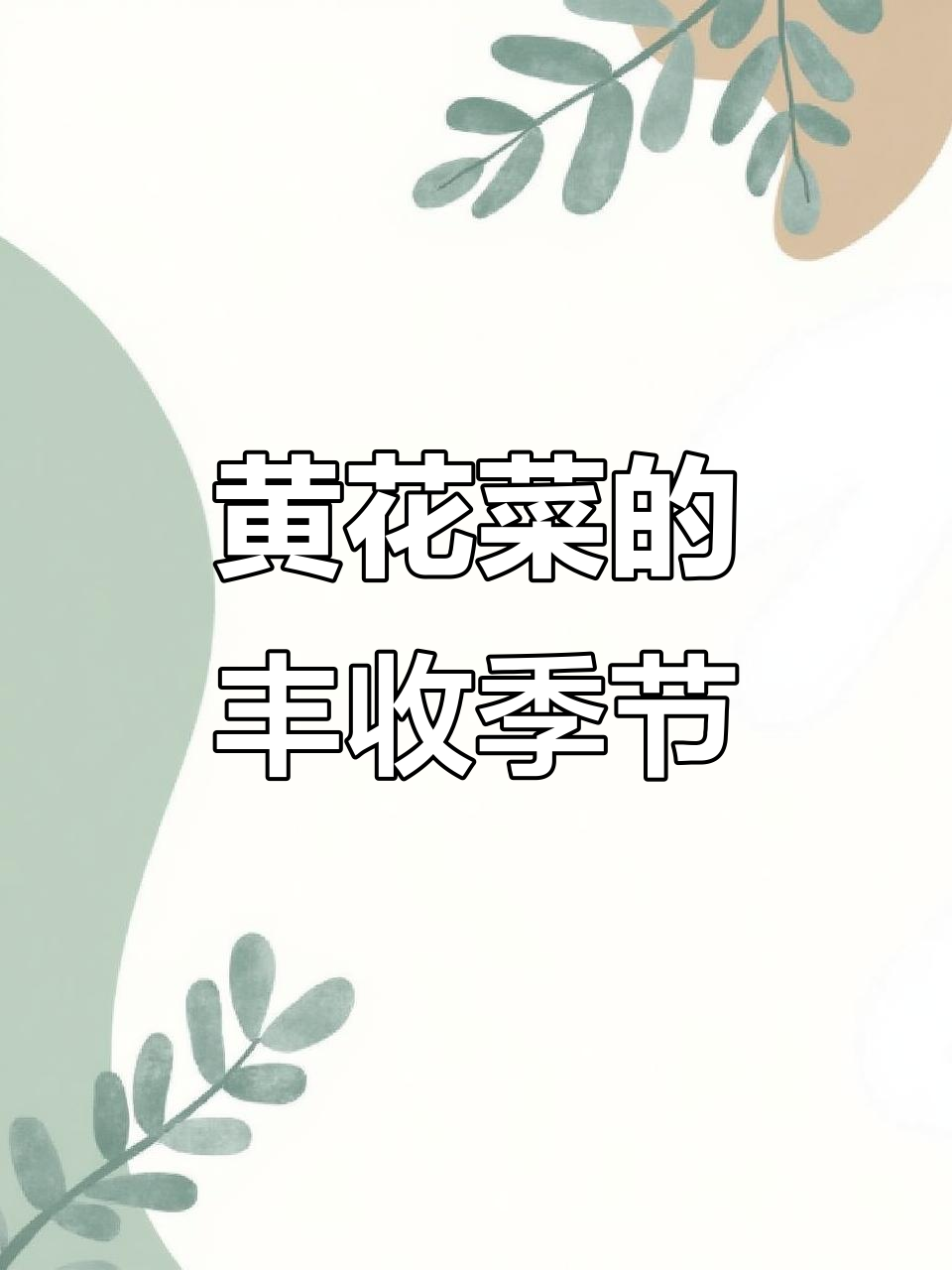 黄花菜丰收,一次种植多年收获,鲜美又省心