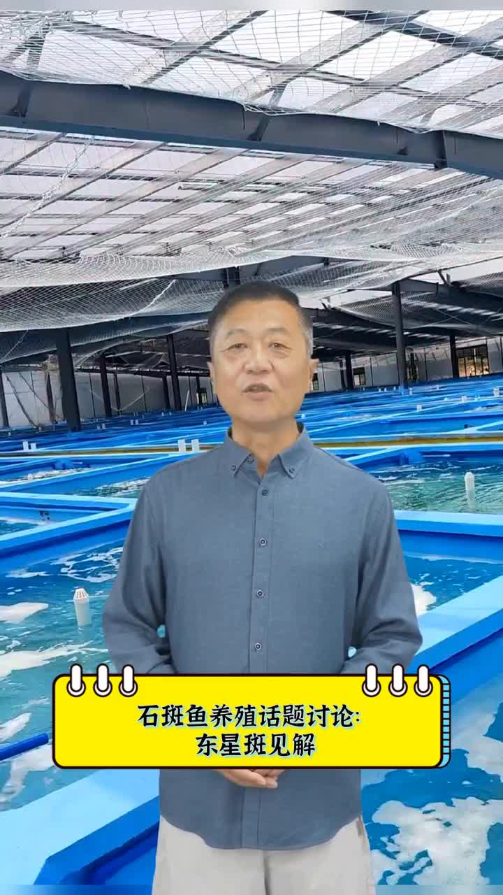 石斑鱼养殖话题讨论:东星斑见解