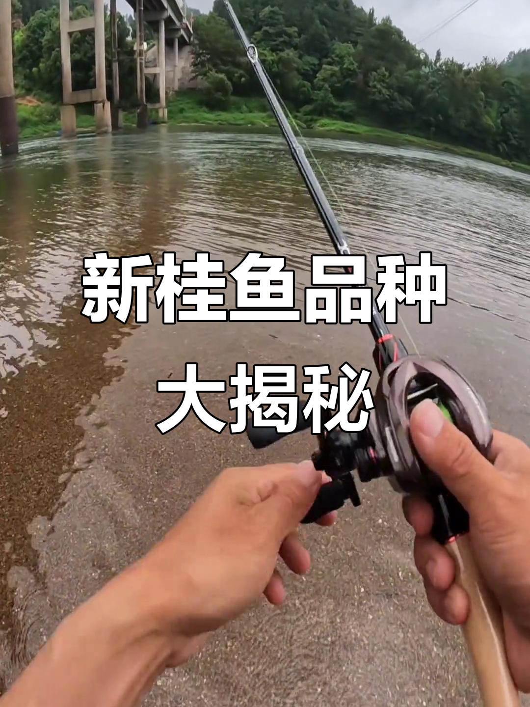 试新鳜鱼品种,意外解锁长体柜!