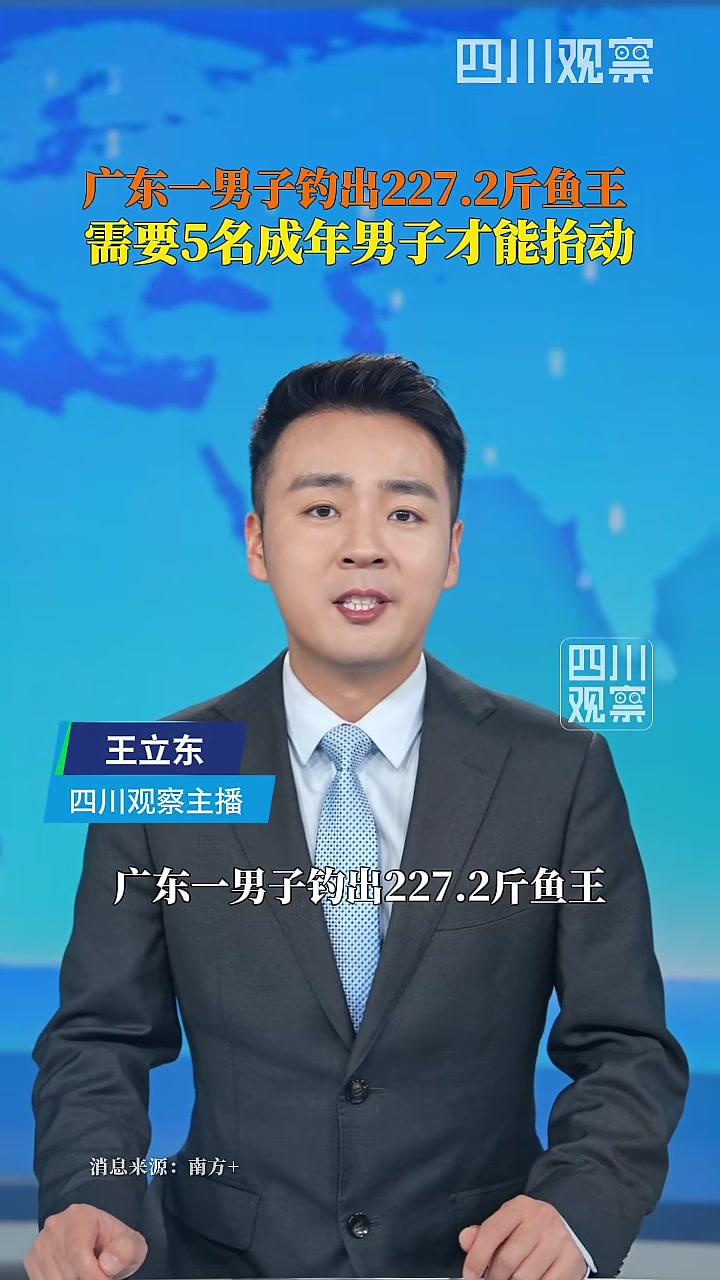 广东男子钓出227斤中华马鲛鱼需5壮汉抬动