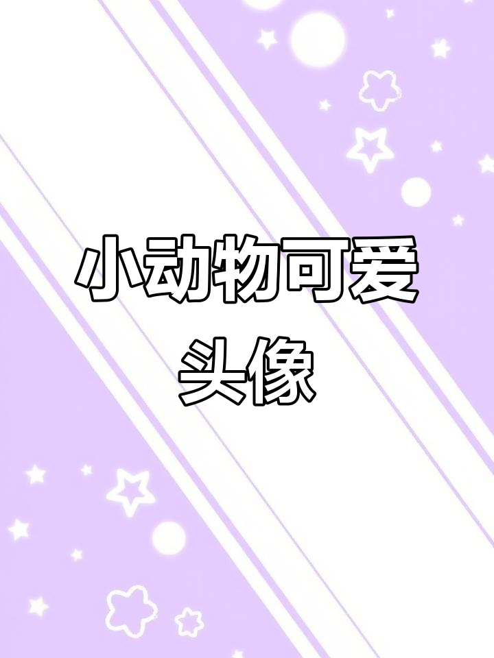 软萌小动物头像,可爱到爆!