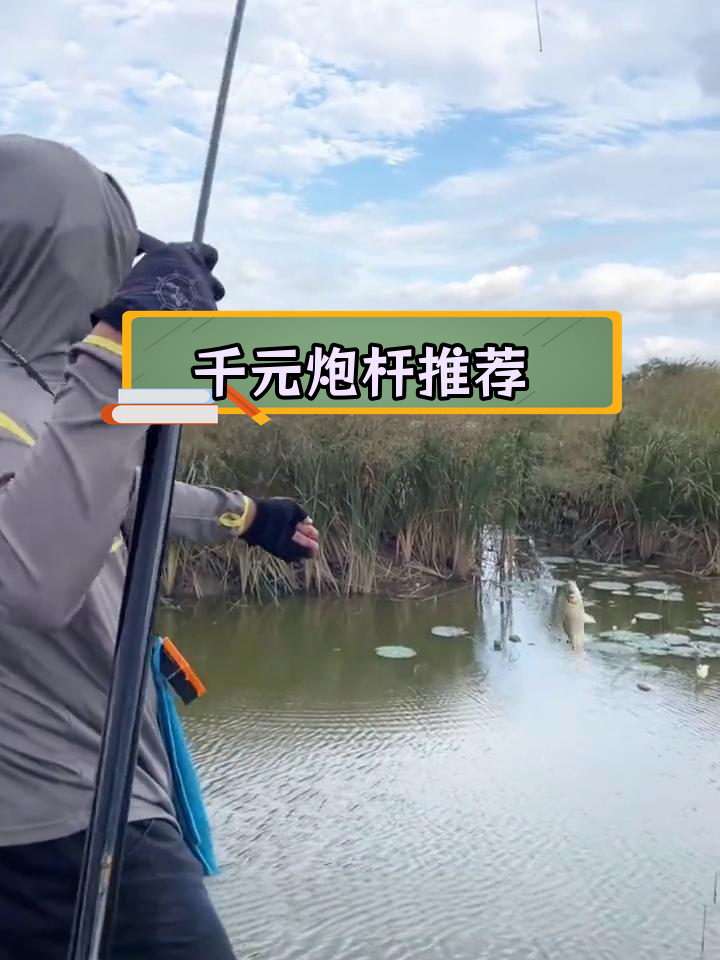 12米传统钓竿推荐,千元级选择